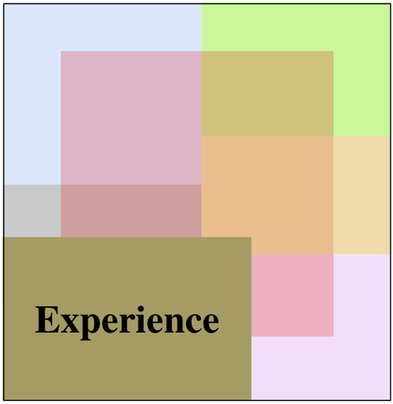 File:Experience.png