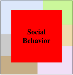 Patchwork Behavior.png