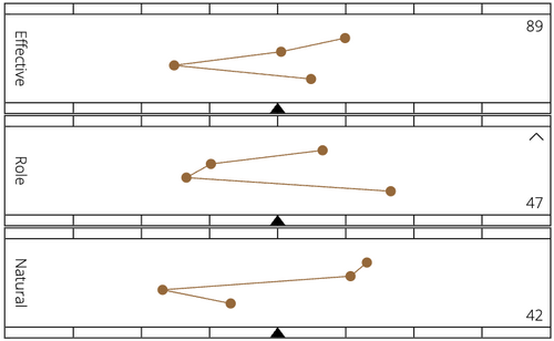 Profile example symbol.png