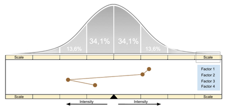 GRI Scale.png