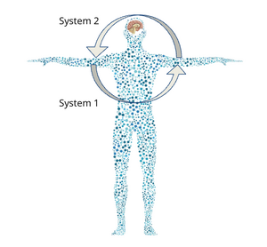 Performance Individual Systems.png