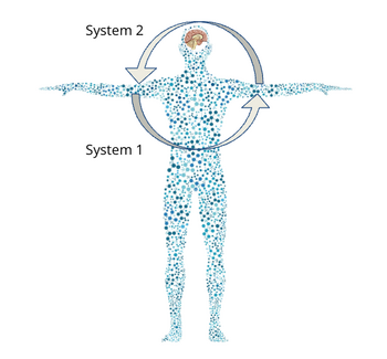 Performance Individual Systems.png