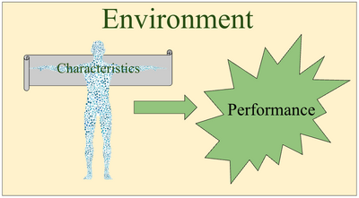 Characteteristics-Success.png