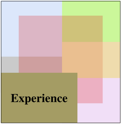 Experience.png